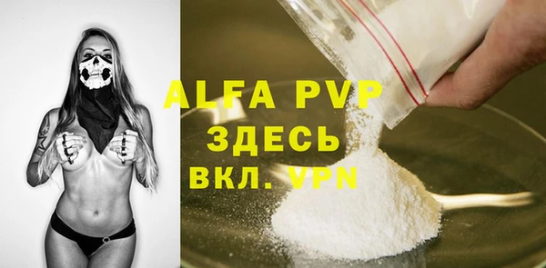 амф Новодвинск