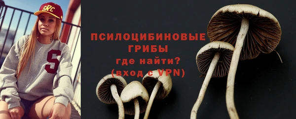 тгк Новокубанск