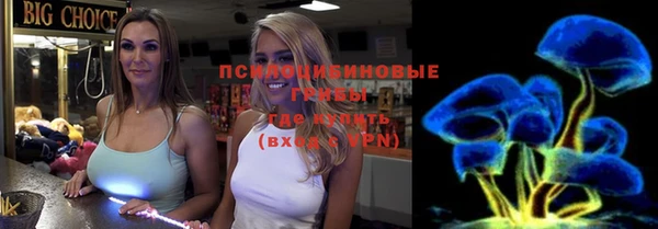 тгк Новокубанск