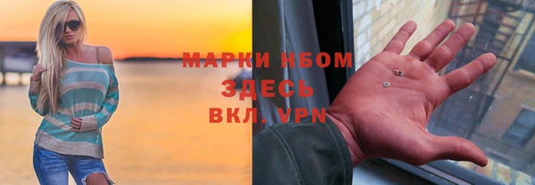 амф Новодвинск