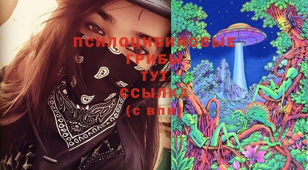 тгк Новокубанск