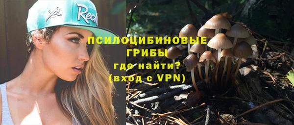 тгк Новокубанск