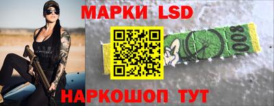 амф Кандалакша