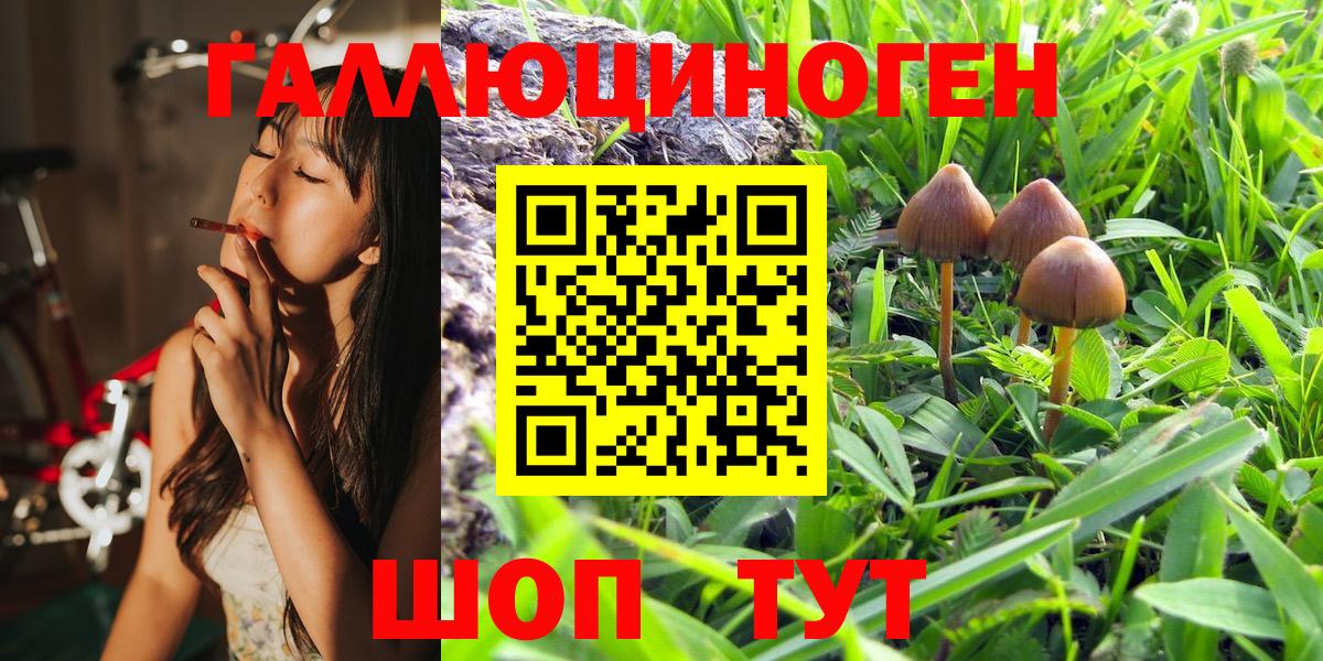 Галлюциногенные грибы Psilocybine cubensis Прохладный