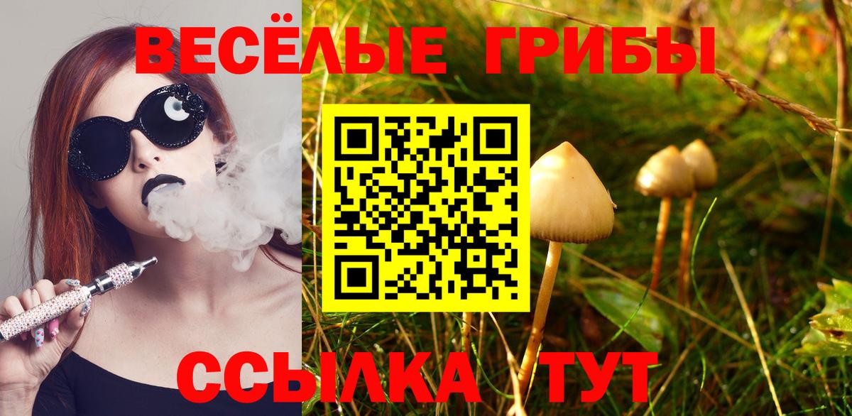 Псилоцибиновые грибы Psilocybe Прохладный