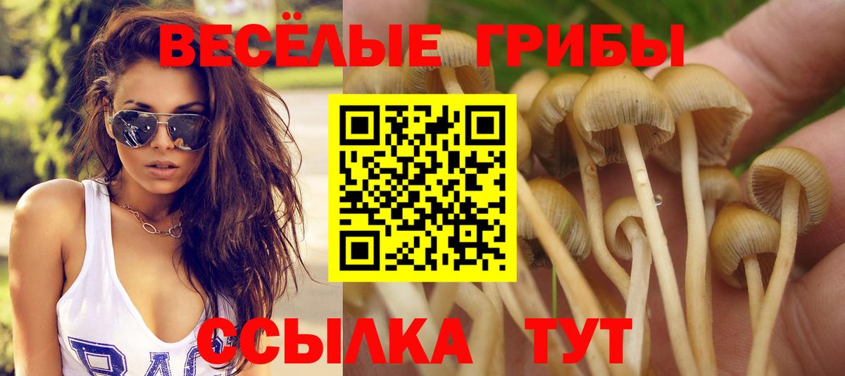 Псилоцибиновые грибы MAGIC MUSHROOMS  Вход с VPN  Прохладный 