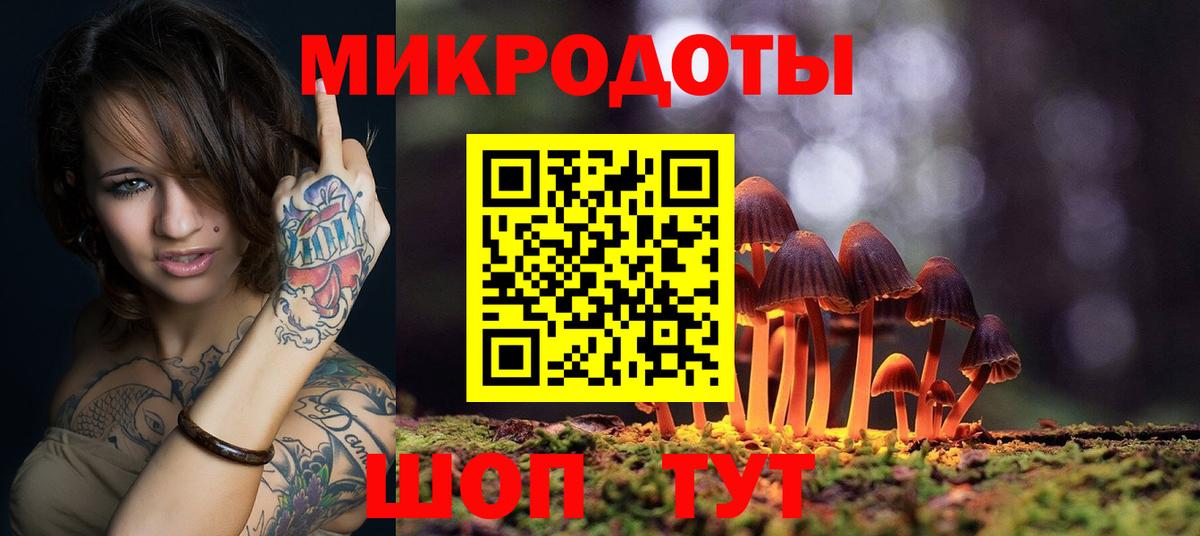 Галлюциногенные грибы мухоморы  Псилоцибиновые грибы Psilocybe  Прохладный 